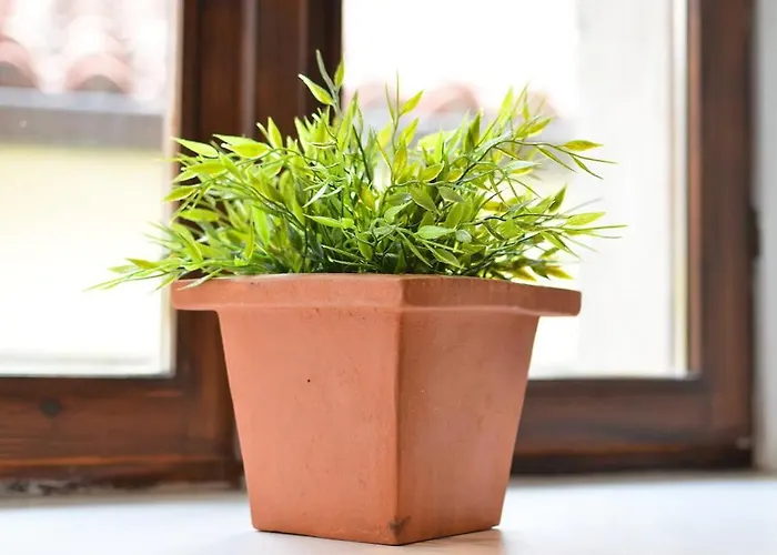 Apartma Seaside Marcella